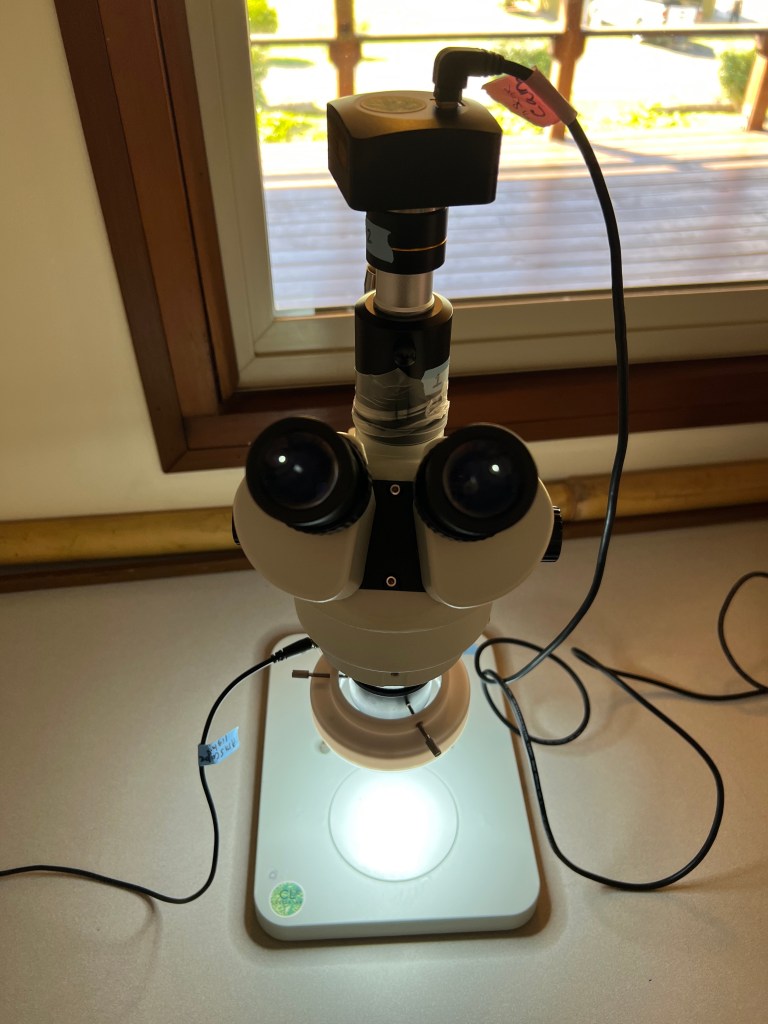 A microscope on a table