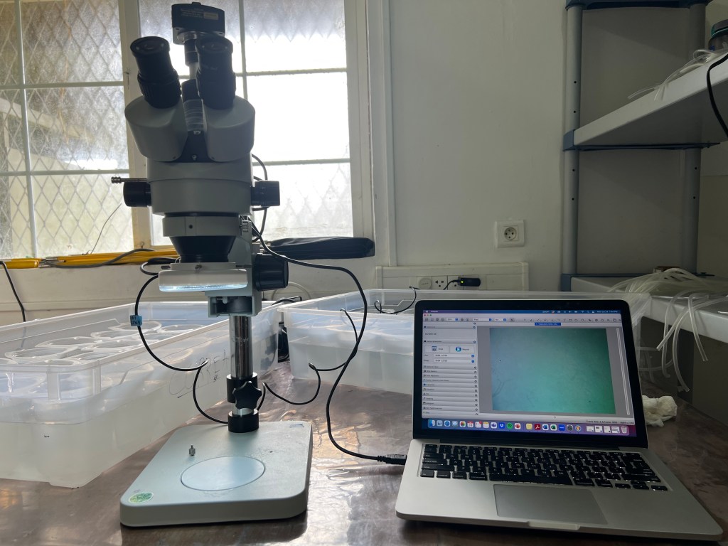 Amscope microscope on a table