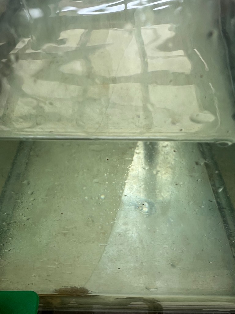 A clean glass aquarium