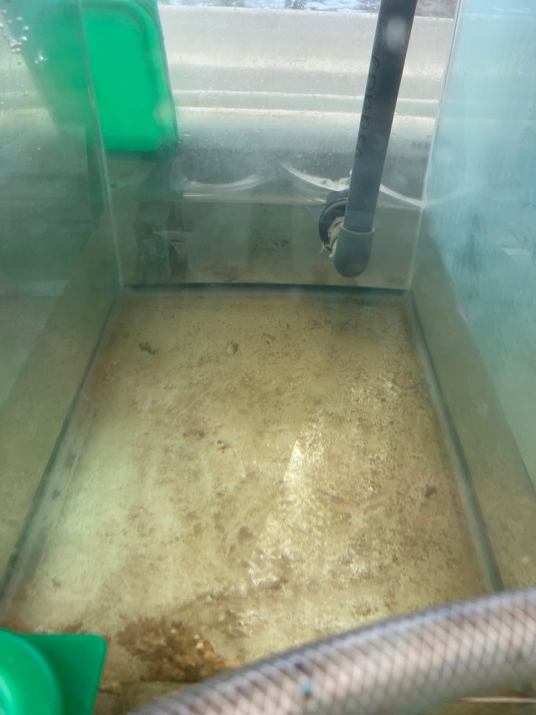 A dirty glass aquarium