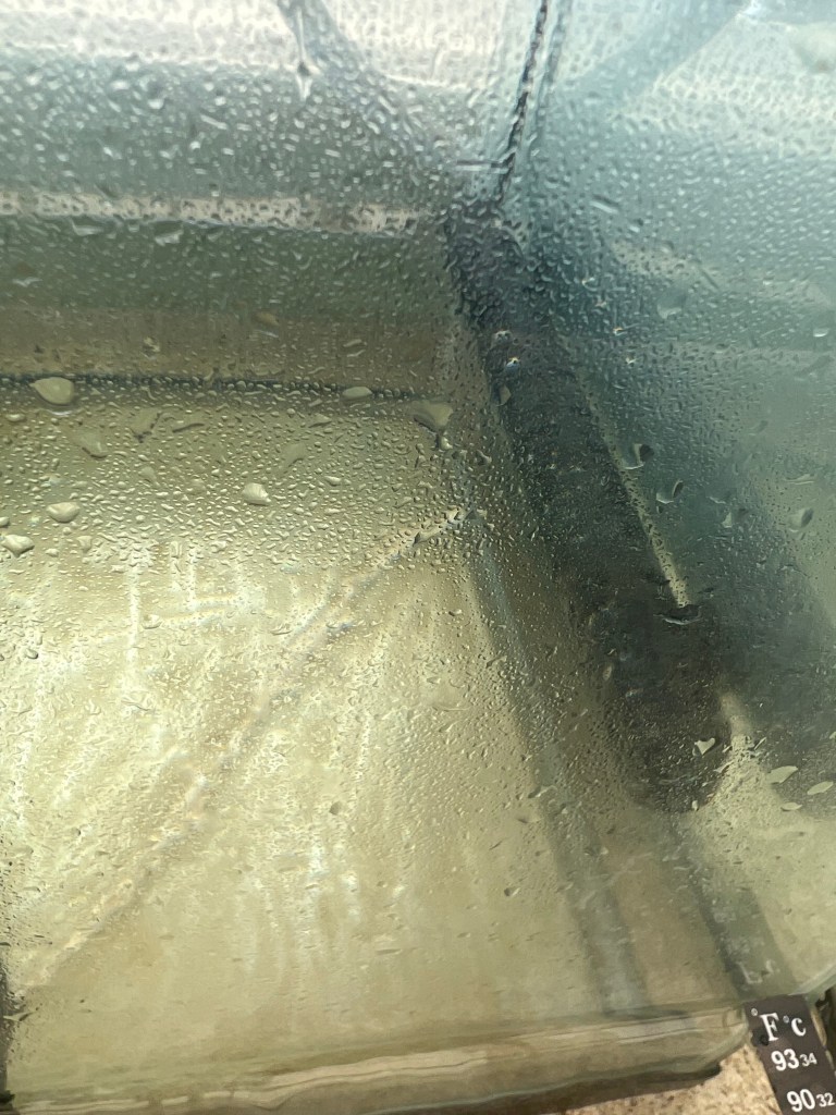 A large tank heater in a glass aquarium