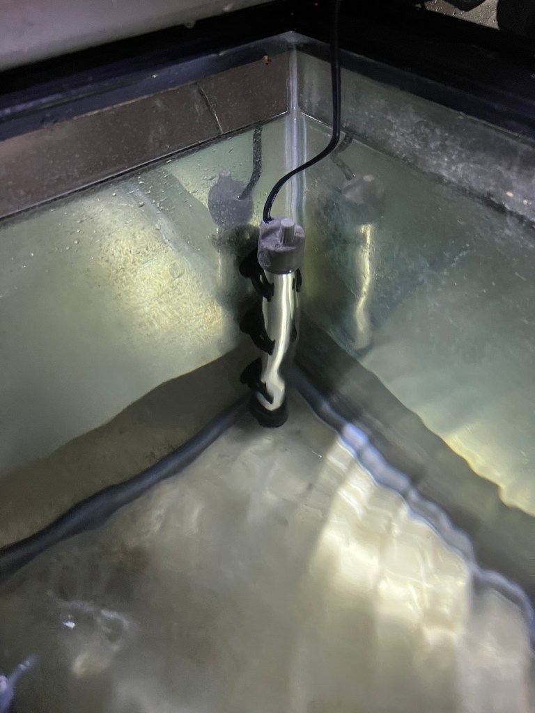 A tank heater in an empty glass aquarium