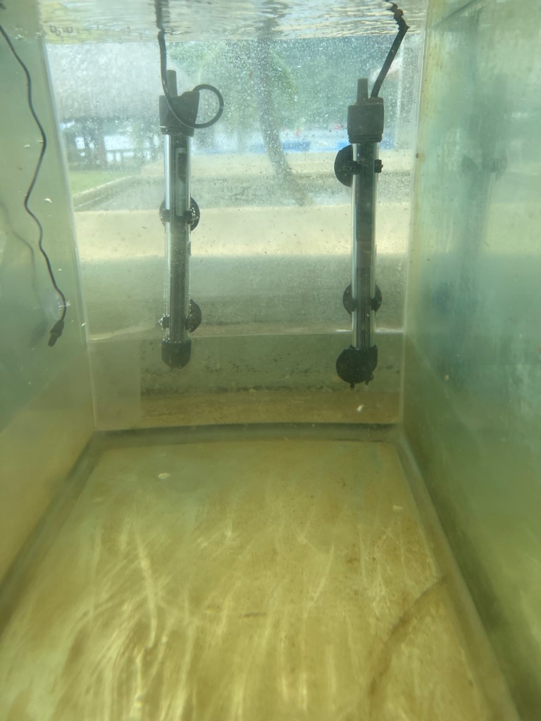 Two small tank heaters in a glass aquarium