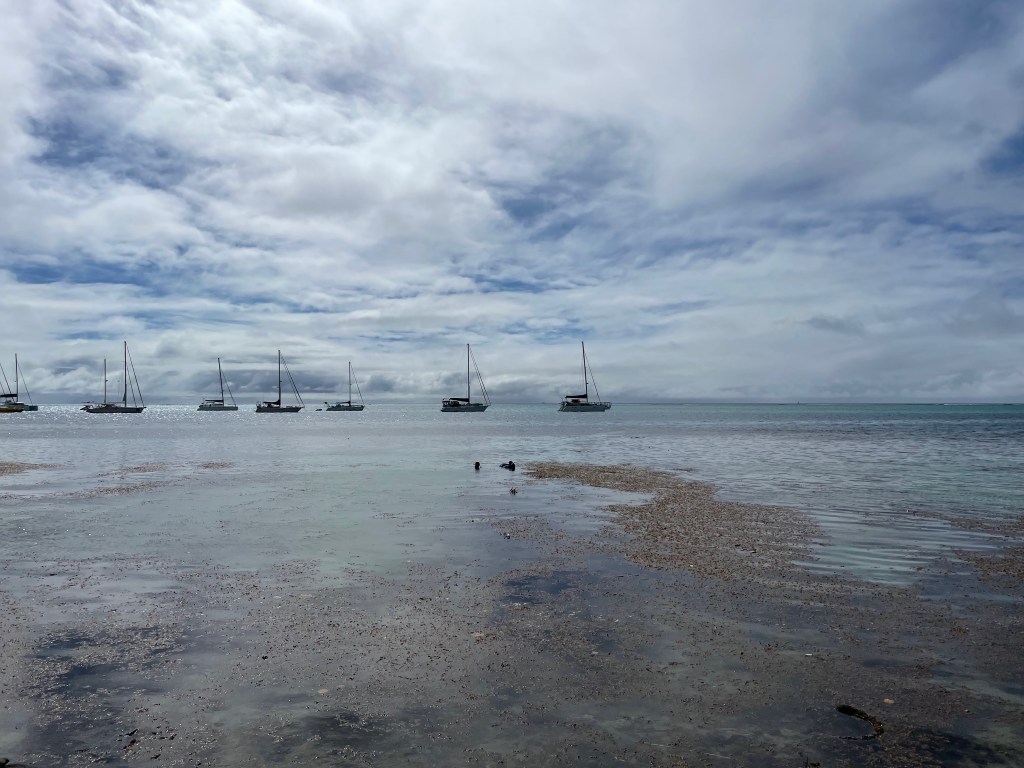 A far-away image of three snorkelers in the ocean with boats in the background