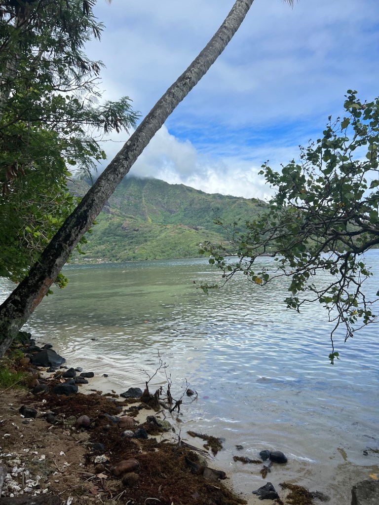 A view of the ocean and a mountain