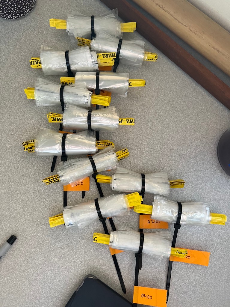 12 rolls of whirlpaks held together with zipties labeled with orange tape that says the timepoint