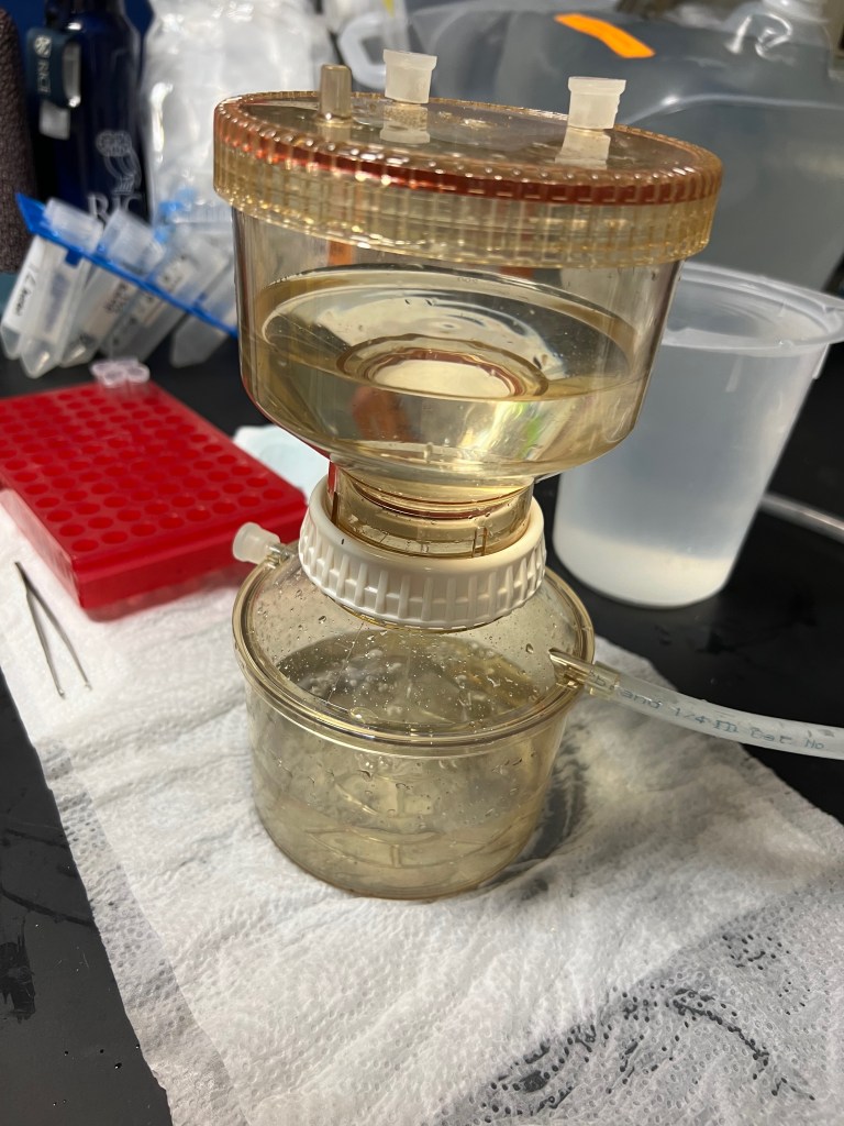 A filtering device with water on the top