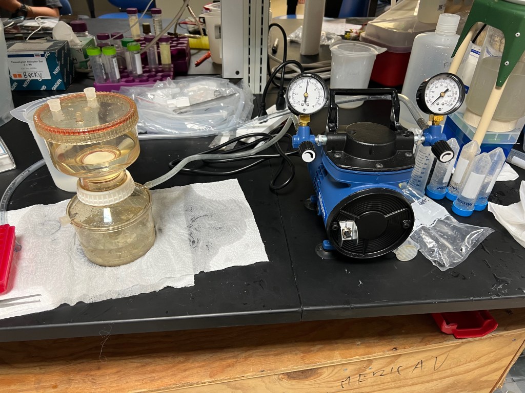 A vacuum pump attached to a filtering device