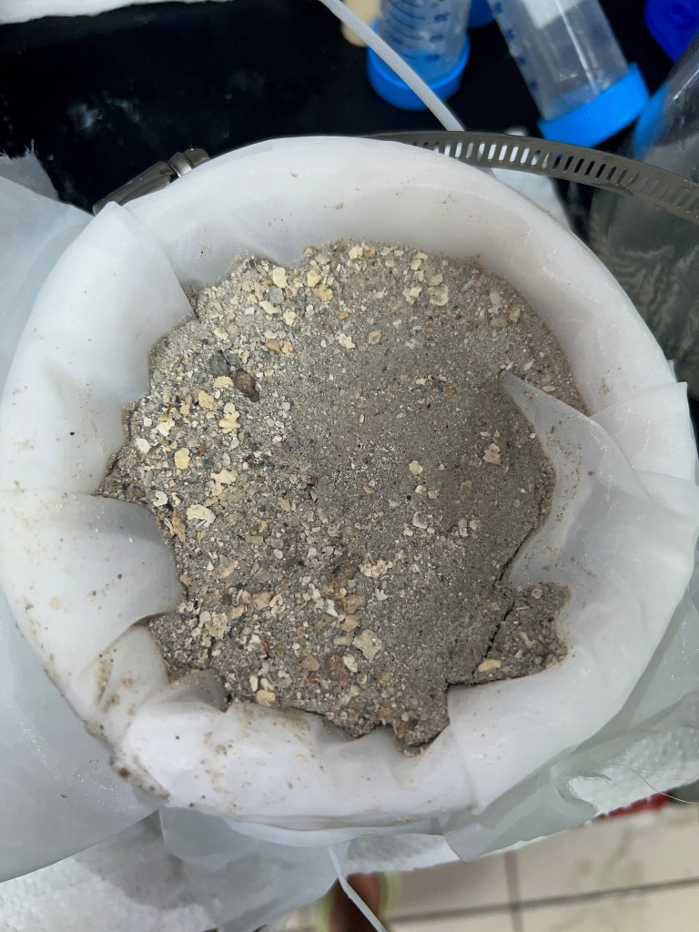 Sand in a mesh filter