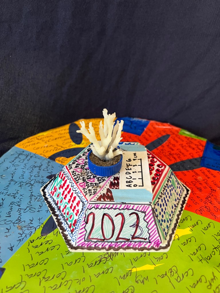 A coral fragment on a colorful stand