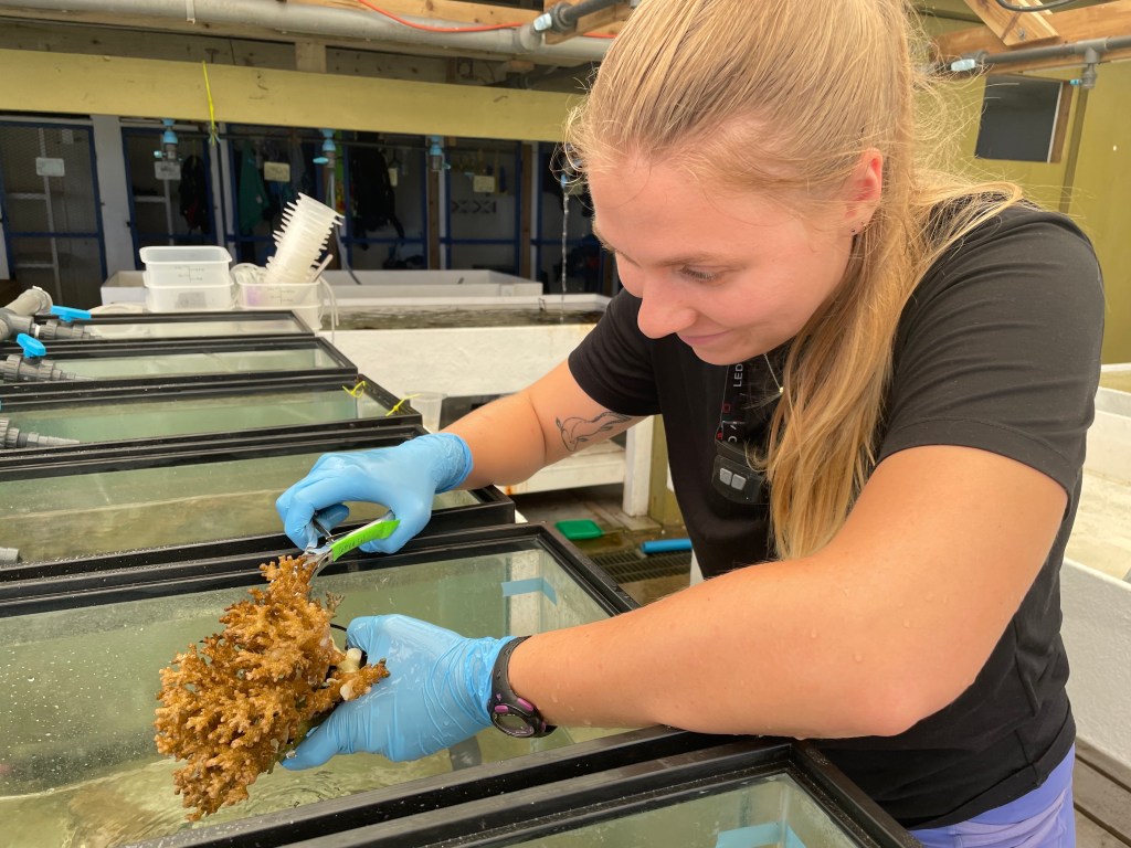 A woman holding bone cutters in one hand and a coral colony in the other