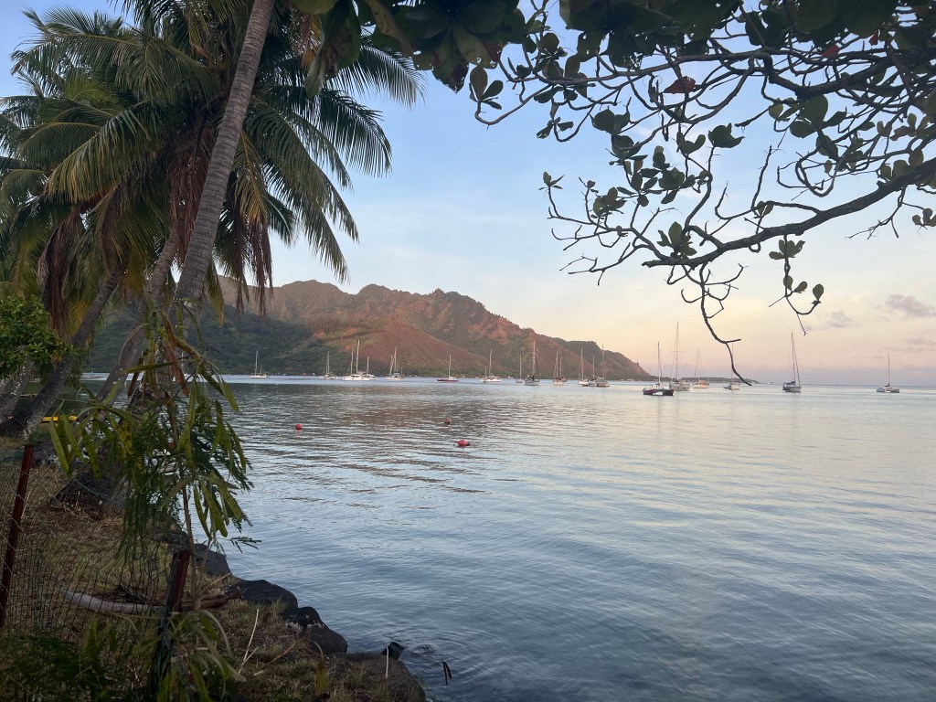 Sailboats and mountains in the distance of a bay