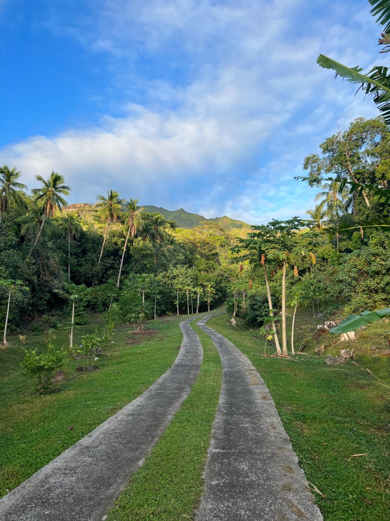 A driveway leading up a hill with a distant mountain in the background